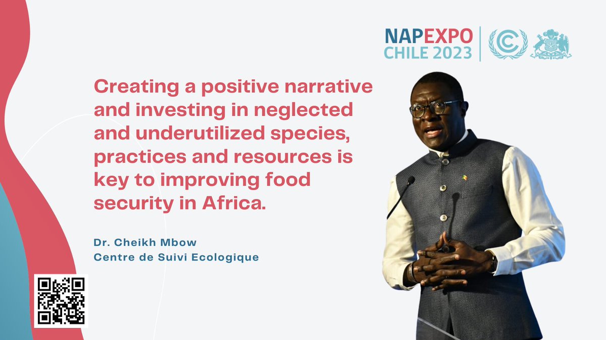 Dr. <a href="/cheikh_mbow/">Cheikh Mbow</a> talked about upstream measures for a food-secure Africa. Watch the recording of his keynote and access his presentation here >> napexpo.org/2023/programme/