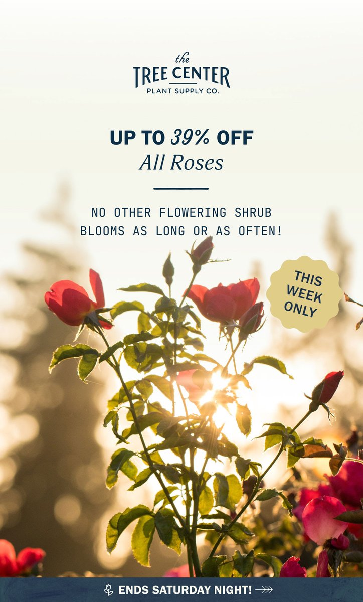This week only, up to 39% OFF all rose shrubs and trees! 🌹If you're looking for beautiful flowers year-after-year, then these plants might be the ticket! Order today to save on your landscape. Immediate shipping is available. 📦thetreecenter.com
