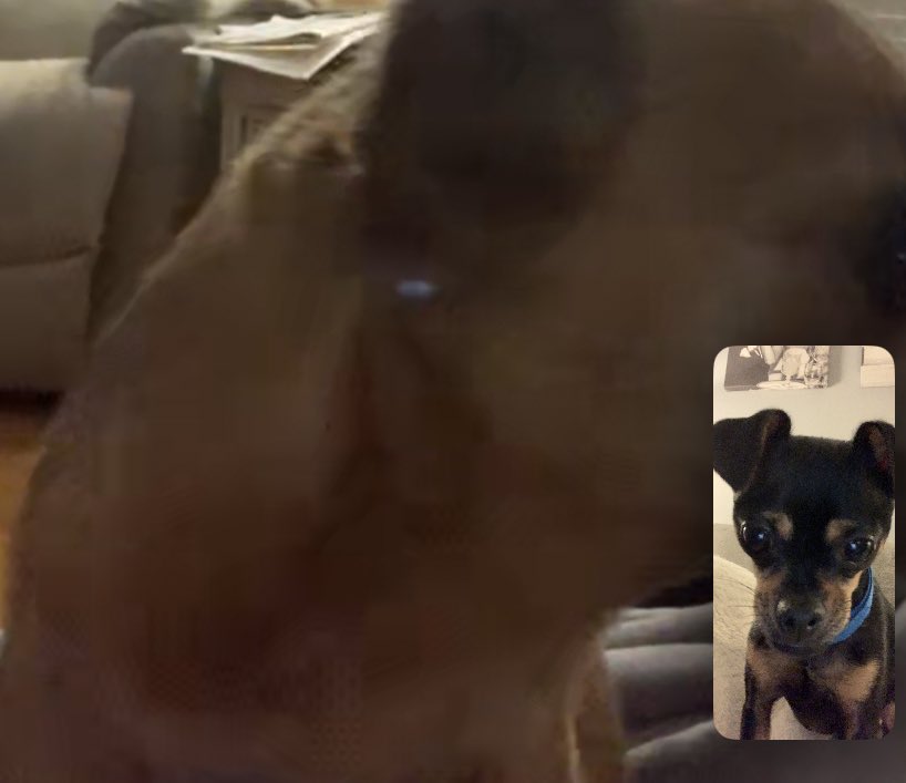 Would u answer his FT