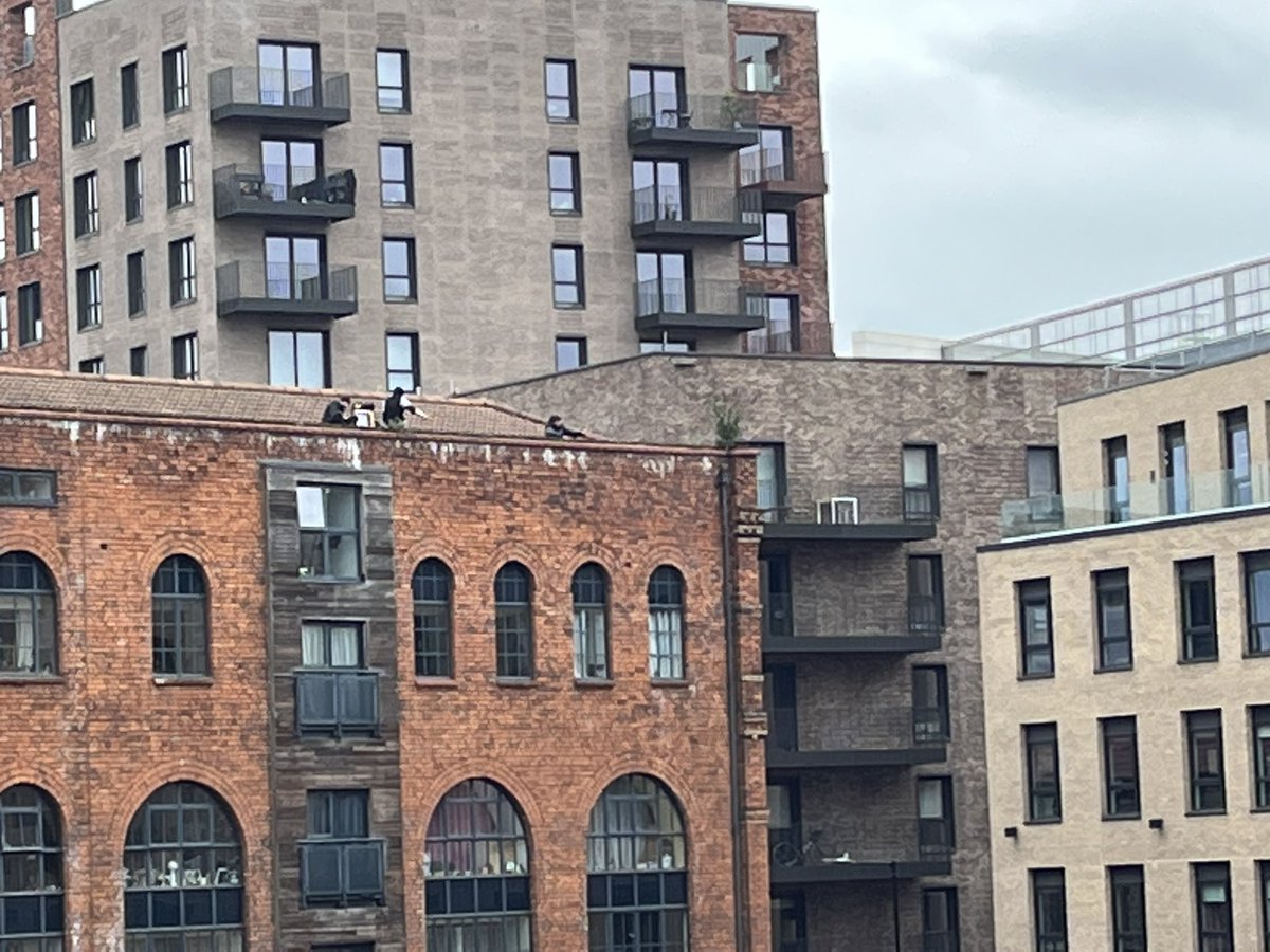 José Navarro 🇪🇸 🇺🇦 tweet media