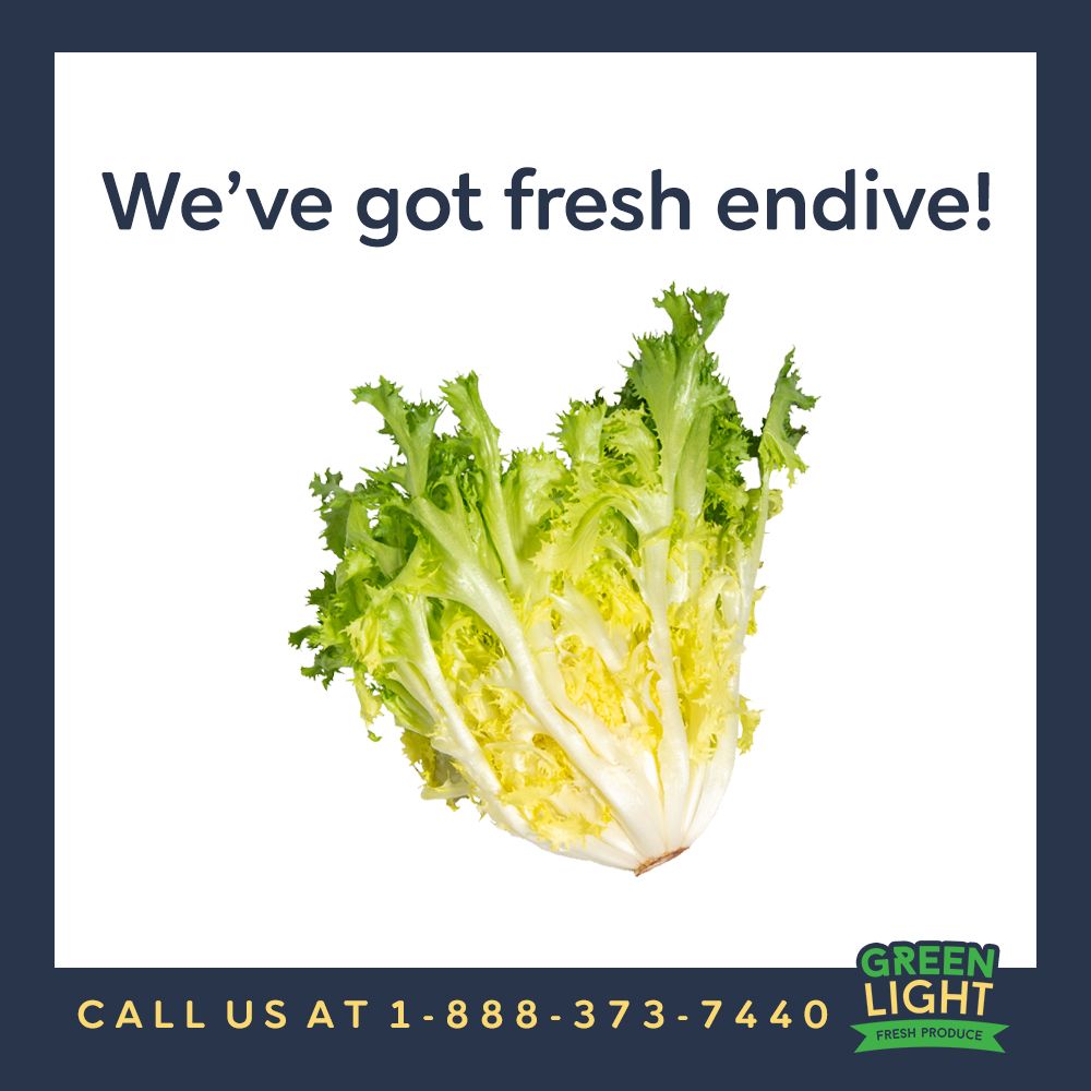 greenlightfresh's tweet photo. We have fresh endive! Call us for more information on it and our Green Light line up!
 #freshproduce #produce #greenlight https://t.co/1pR0XLcZ9n
