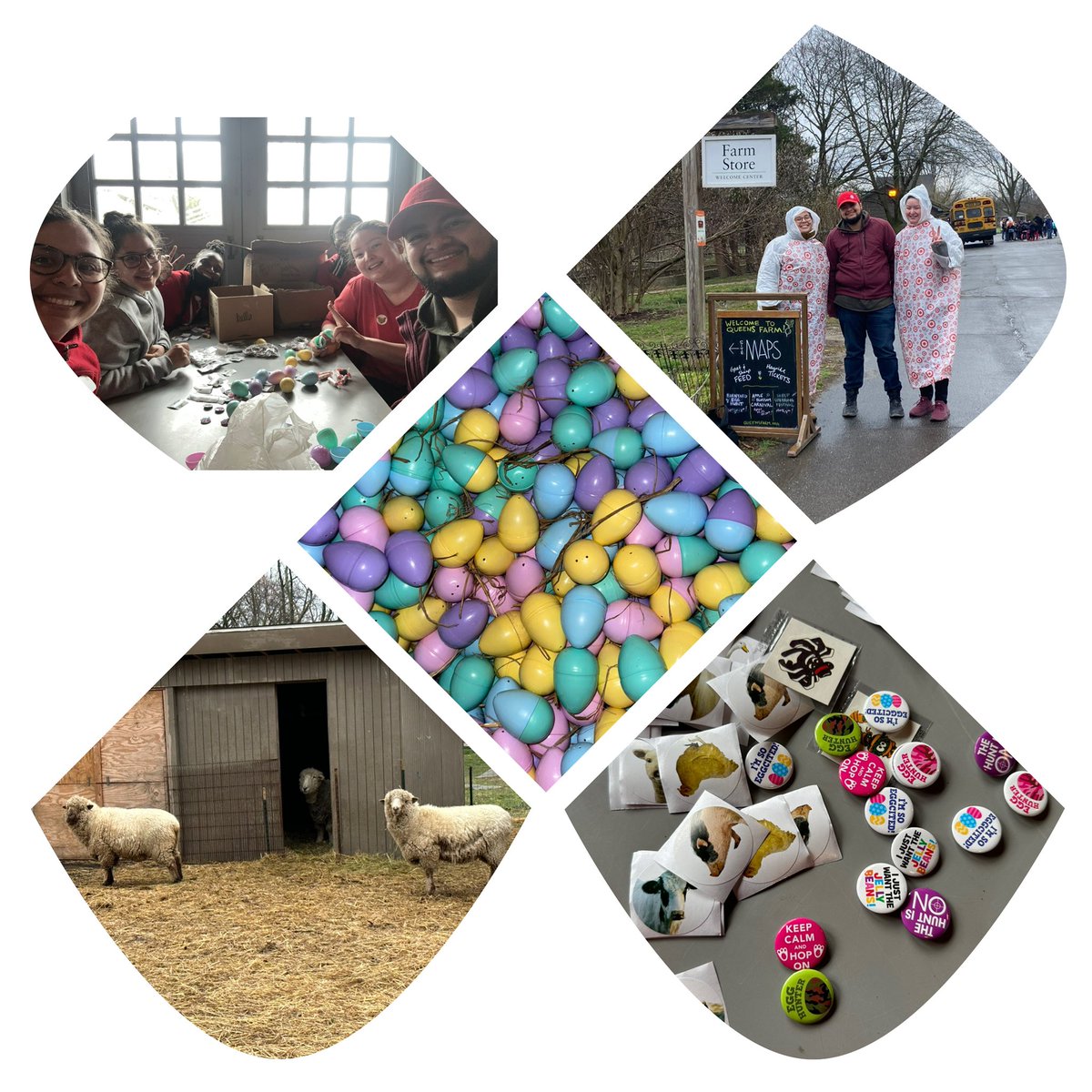 Melody Peña (@melodyaptgt) on Twitter photo Having a fun time at the Queens Farm today getting ready for their Easter Egg Hunt! <a href="/queensfarm/">Queens Farm</a> Having a fun time at the Queens Farm today getting ready for their Easter Egg Hunt! <a href="/queensfarm/">Queens Farm</a>