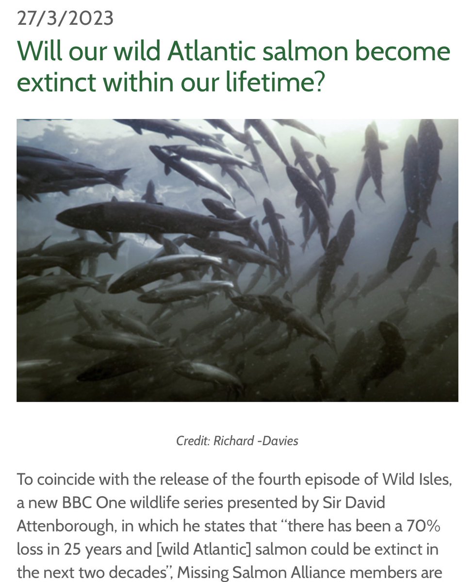 GWCT Fisheries tweet media