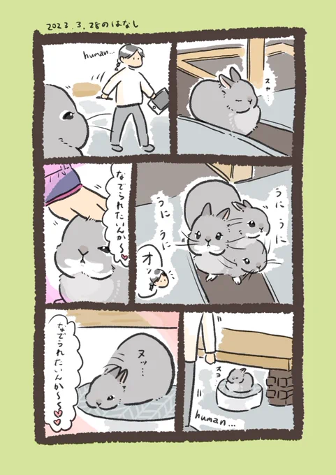 人感センサーrabbit…

#うさぎのいる生活 