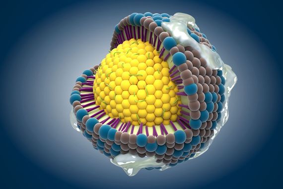 timesup_man's tweet image. ⚠️Ils t'ont menti toute ta vie sur ça !

➡️Découvre pourquoi le cholestérol l’ennemi public N°1, le démon des temps modernes est crucial et en même temps dangereux pour ta santé  ! 🤫💥👀

🧵Guide complet🧵