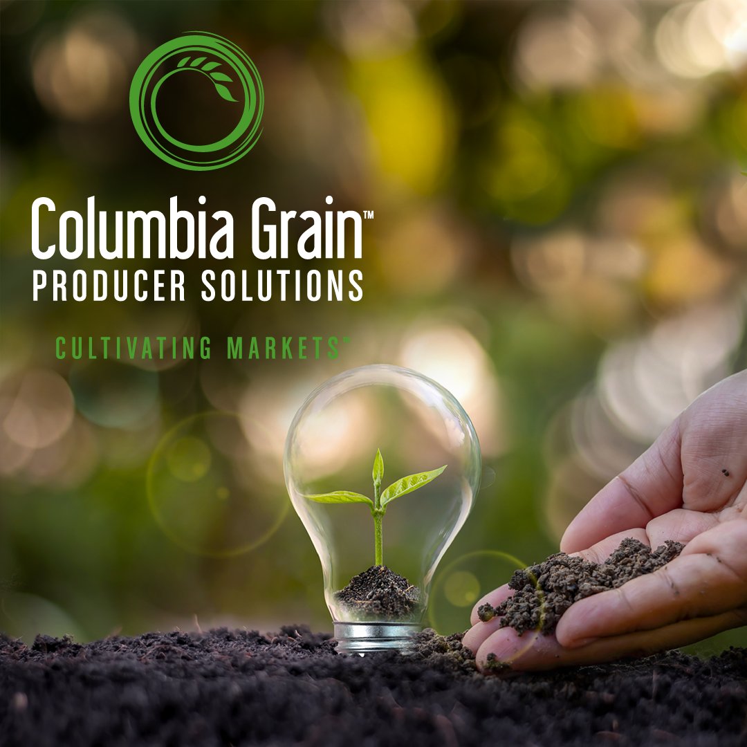 ColumbiaGrain's tweet photo. CGI's Producer Solutions platform provides the competitive advantage our producers want.
Get the insights here: https://t.co/fWNFr2iFG5
#columbiagrain #CGI #producersolutions #cultivatinggrowth #agribusiness #agriculturelife #farmerlife #commoditymarket #agritech https://t.co/j9AeKnxf2M