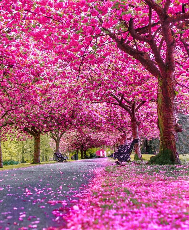 OneLuckyGirl_28's tweet image. Affirm:

All good things come to me.