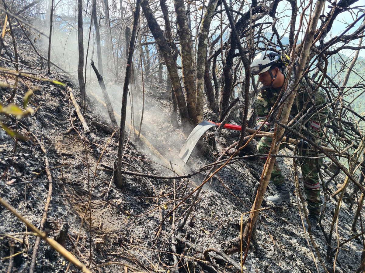 Ejercito_Div2's tweet photo. En la vereda Tupurcua, municipio de #Chitaga, las tropas de la #Brigada30 en coordinación con @GoberNorte y @ChitagaNdeS lograron controlar un incendio forestal de 350 hectáreas.
¡Un gran trabajo en equipo para proteger nuestro medio ambiente!
#CustodiosDelMedioAmbiente https://t.co/MxA4Ld6pWT