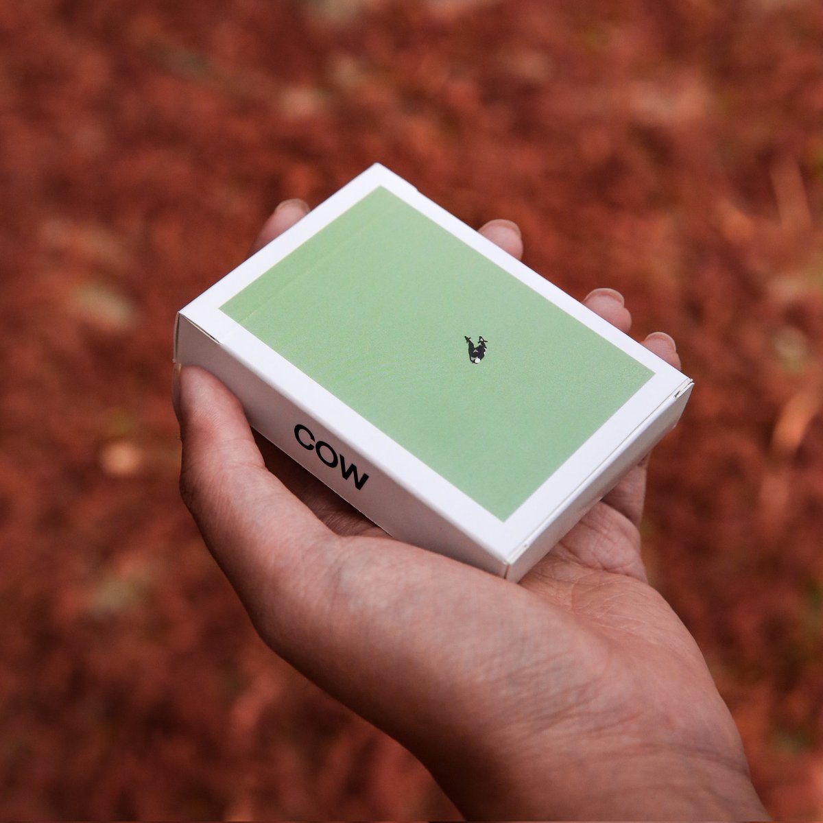 koalapras's tweet photo. Since it's the birthday of @GrantYun2's iconic Cow, I wanted to share this deck of Cow Playing Cards that I made for myself to play around with!

Incredibly jealous of @defianceworks 😩 https://t.co/dA9e870aSt