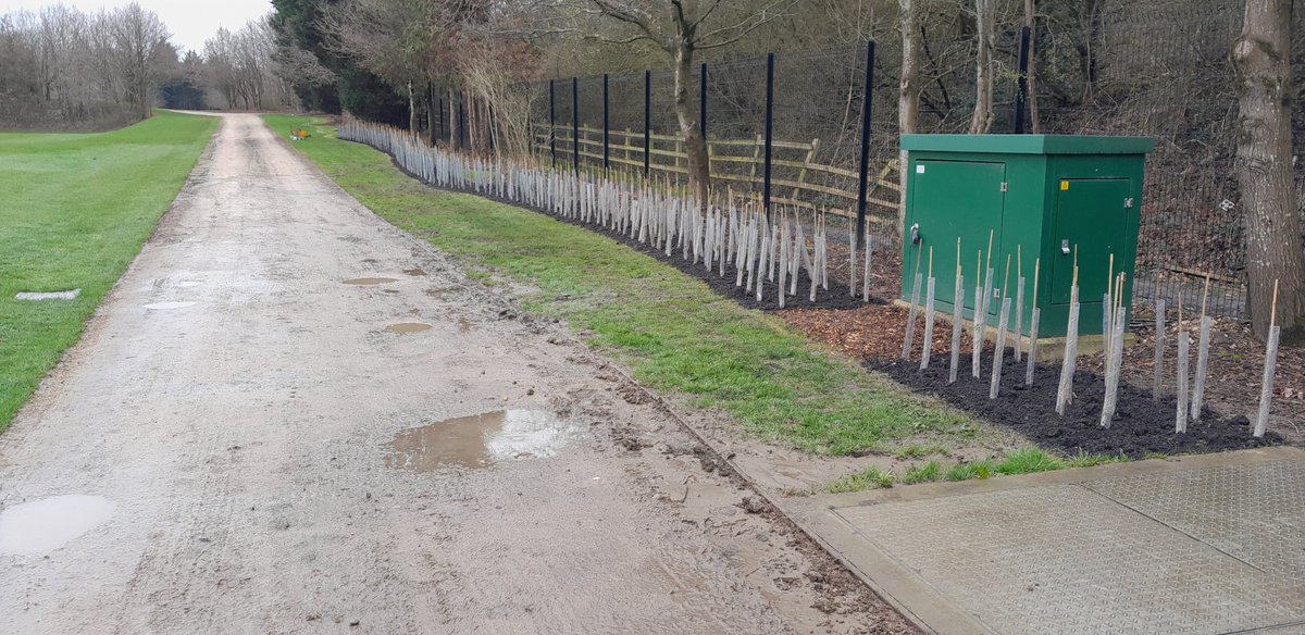 Day 1 complete and we are half way! 10am start tomorrow for anyone who couldn't make it today. Swap your shoes for wellies and get amongst it! <a href="/StJohnsSurrey/">St John's School, Leatherhead</a> #wildlife ❤️ #woodlandtrust ❤️
