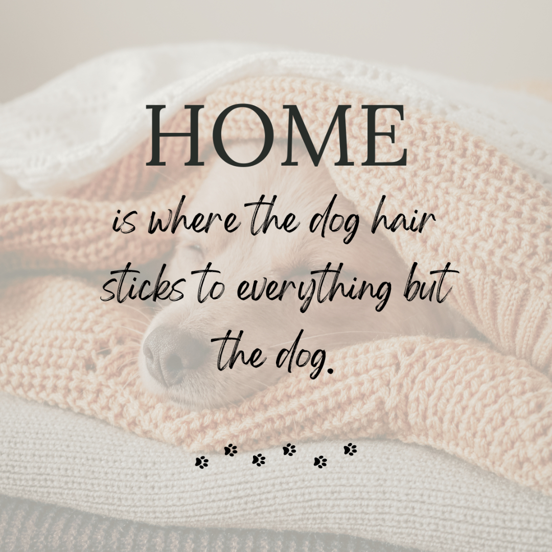 **Or cat hair**

Finding the right house means finding the place that makes everyone feel at home, including our 4-legged family members! Call me today so I can find that home for you! 970-466-4486

#homesweethome #homeiswherethedogis #pets