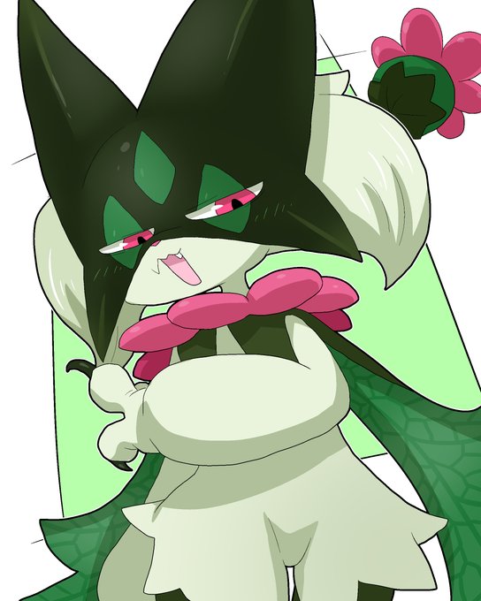 嘲るマスカーニャ 