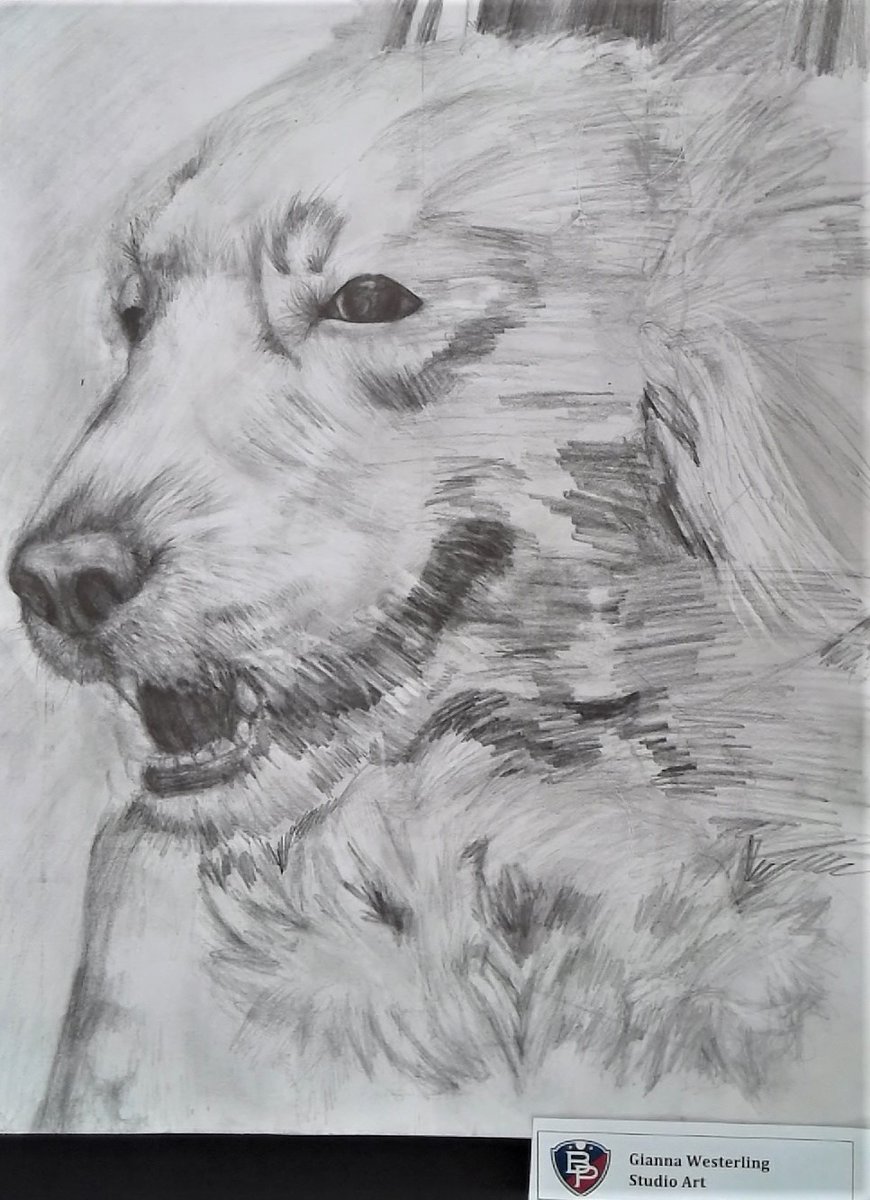 BPpatriots's tweet photo. B-P will be well represented with 27 pieces of student artwork at the Regional Art Show, March 31 through May 25 at the Paul Nigra Center. 

More: https://t.co/3s6Sre0YAV

#PatriotPride https://t.co/svPA78HvGL
