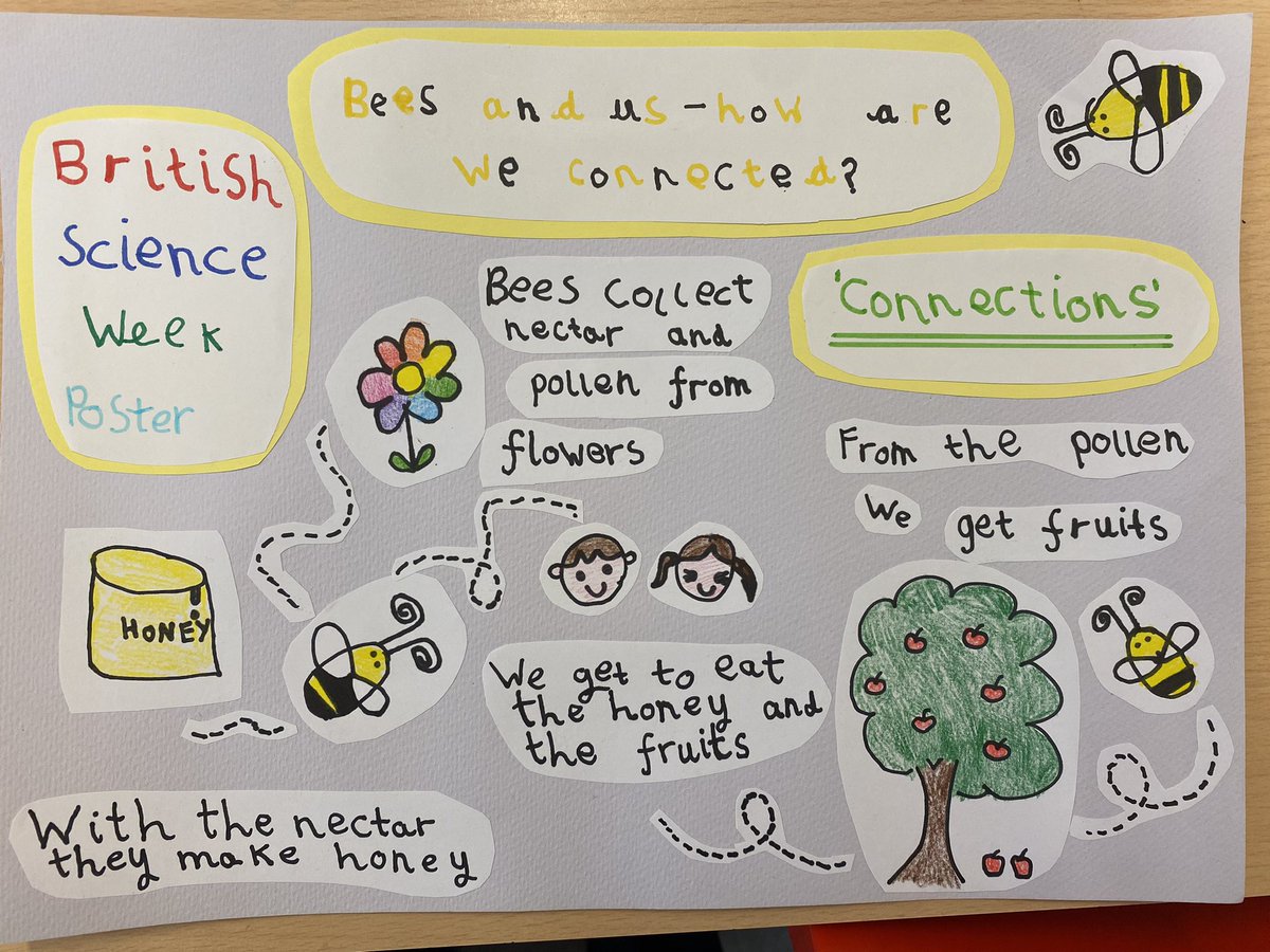 NottsHighIJS's tweet photo. Well done to all those pupils from EYFS all the way up to Year 6 who entered the @ScienceWeekUK poster competition showing us how they are connected to everything #STEM Finalists will be announced before the end of term #somuchscience #somuchmore #iamconnected https://t.co/zJ0aORf1Ok