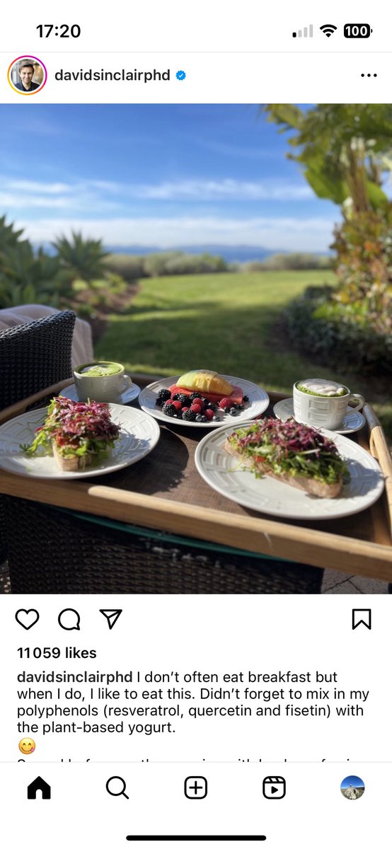 Raphael Sirtoli on Twitter "“plantbased yogurt” “polyphenols” “leaders