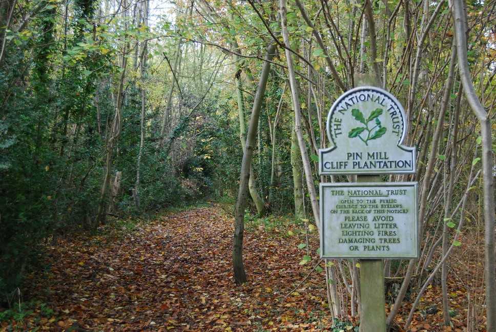 TheSuffolkMan's tweet image. @nationaltrust #woods at #PinMill #Suffolk @keeper_of_books