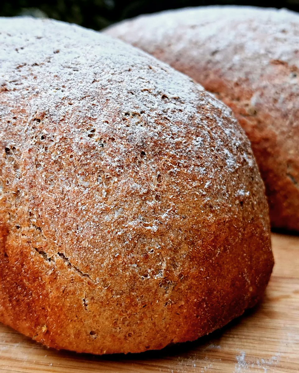 Ivycottagebaker's tweet image. Another pre course trial bake, rye and fennel seed loaf. 
#bread #handmade #microbakery #edenvalley #Cumbria #breaducation #breadmaking
