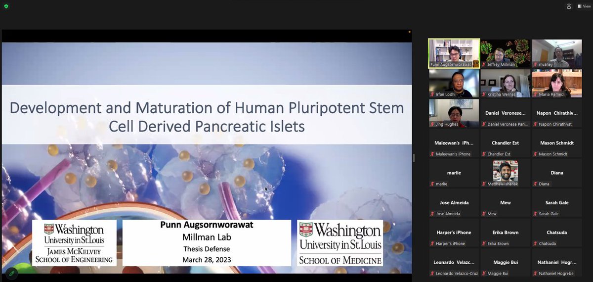 Jeffrey Millman (@jeffreyrmillman) on Twitter photo Congratulations Dr. Augsornworawat <a href="/punnaug/">Punn Augsornworawat</a> for successfully defending his PhD dissertation on single-cell sequencing analysis of stem cell-derived islets for #Type1Diabetes therapy! <a href="/WashUBME/">WashU Biomedical Engineering</a> @WashUEndo Congratulations Dr. Augsornworawat <a href="/punnaug/">Punn Augsornworawat</a> for successfully defending his PhD dissertation on single-cell sequencing analysis of stem cell-derived islets for #Type1Diabetes therapy! <a href="/WashUBME/">WashU Biomedical Engineering</a> @WashUEndo