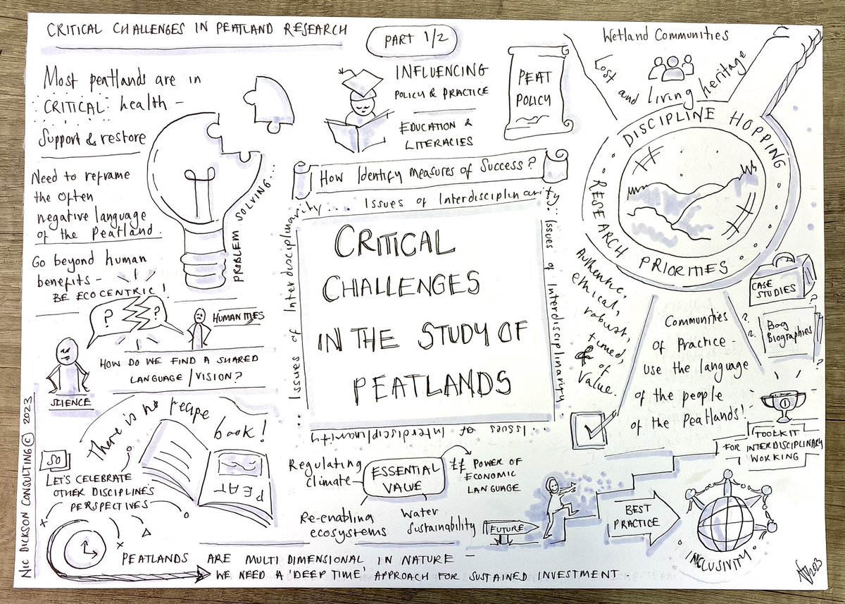 NicMDickson's tweet photo. Visual note taking role completed for the #disciplinehopping peatlands and wetlands group. Fantastic interdisciplinary research project - was a joy to draw the final workshop @Fossilbeetle @nicoleebeale @HoppingGroup @NTS_archaeology @lizzierbertson @OpheliatheFish @Eco_Explorers https://t.co/TyatySMHg7