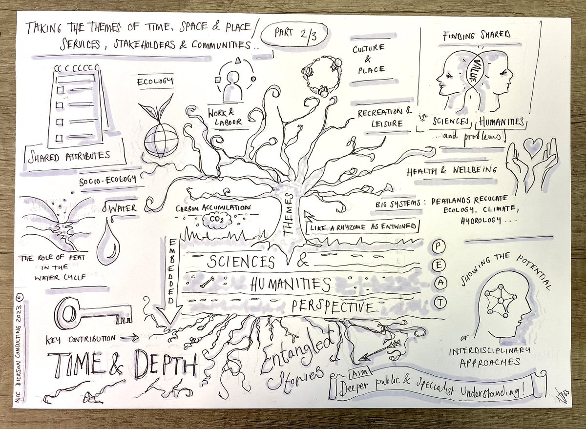 NicMDickson's tweet photo. Visual note taking role completed for the #disciplinehopping peatlands and wetlands group. Fantastic interdisciplinary research project - was a joy to draw the final workshop @Fossilbeetle @nicoleebeale @HoppingGroup @NTS_archaeology @lizzierbertson @OpheliatheFish @Eco_Explorers https://t.co/TyatySMHg7