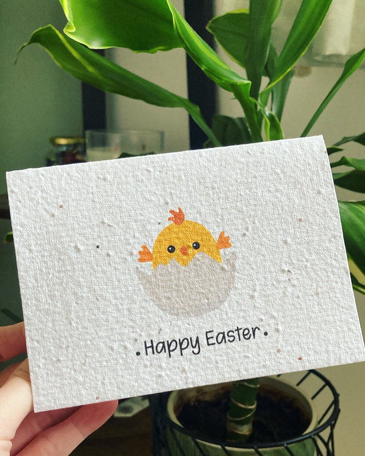 Next up…Easter! 🐣 

We have our Easter seed cards now available to purchase on our shop, how cute is this one! 🐥 

Plantable & eco friendly 🌱 hopefully the sun will come out soon! #goawayrain 🙏 

Order yours at Etsy.com/shop/majandmac… 💛

#eastercard #easter #chick #card