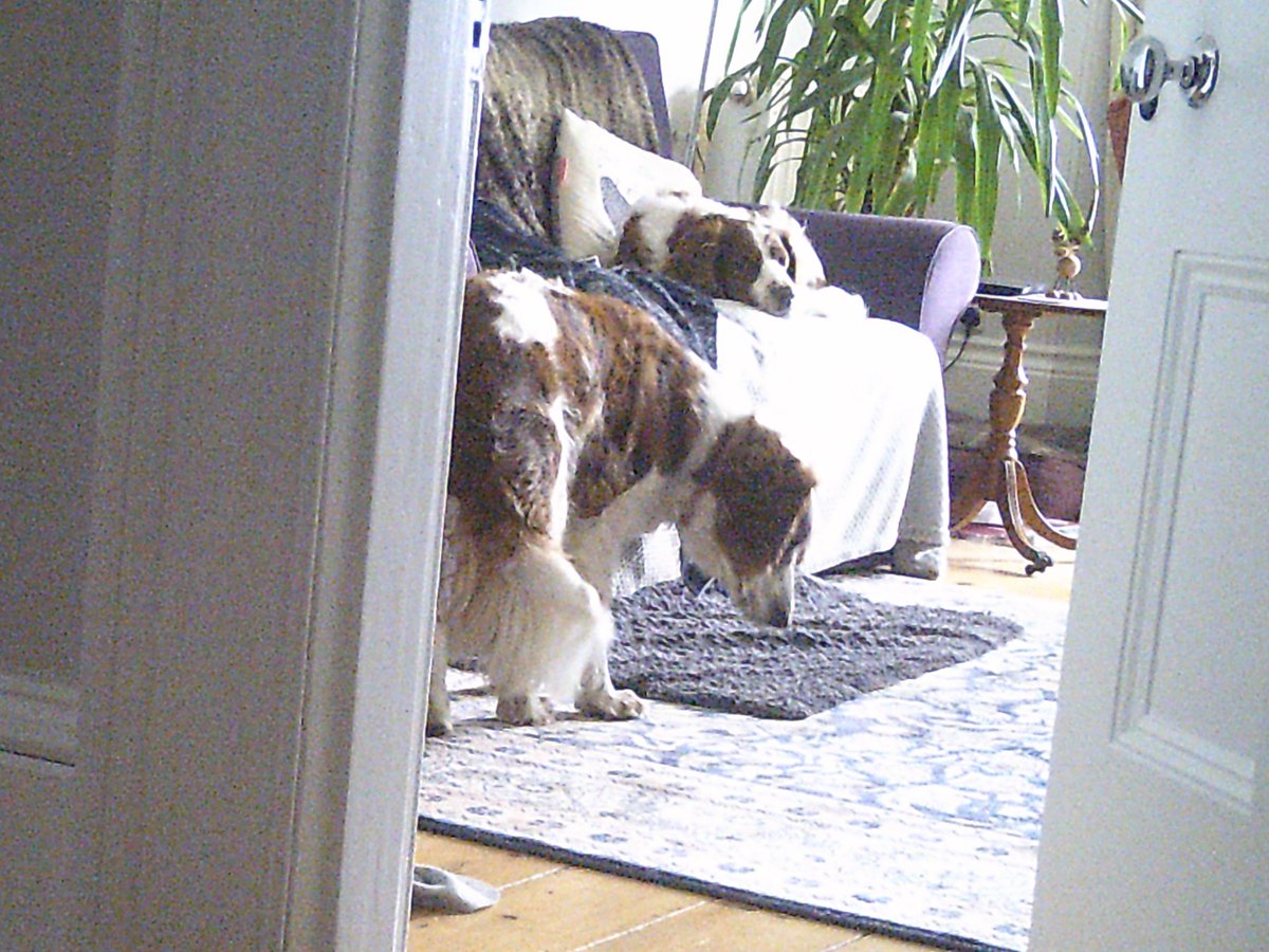 Kirsteen Titchener Artist tweet media