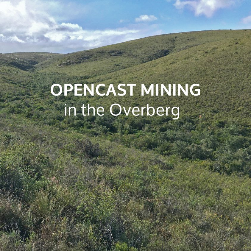 Renosterveld's tweet image. Opencast mining in the Overberg | 

We were informed recently that the opencast mining prospecting application in the #Overberg, close to Swellendam, by Western Cape Minerals has now expired. 

At this time, it seems that this application will not be going ahead.