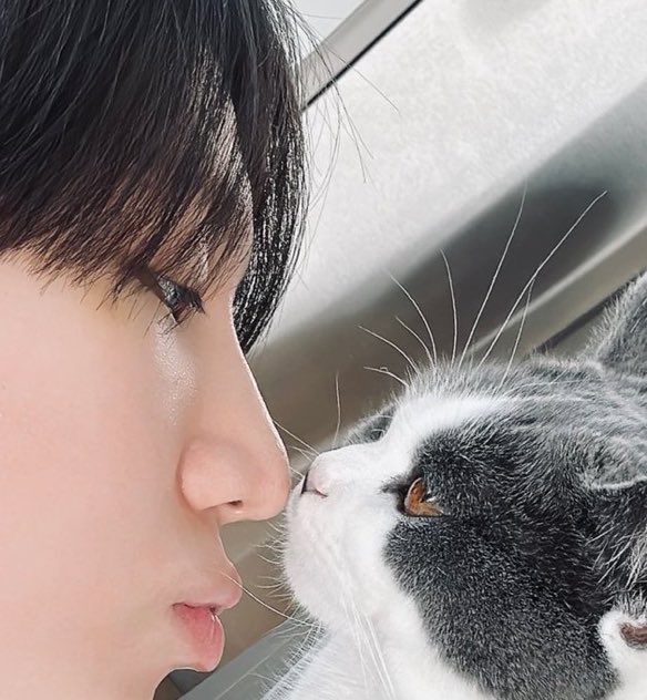 beeboobeeboob's tweet photo. #theworldissaved #taeminback #taeminishome #worldpeace #10000kisses #Iloveyouforever #shawol5life #neverleaveagain #Iloveyou #worldwasneverthesame https://t.co/6dPUmaSZS1
