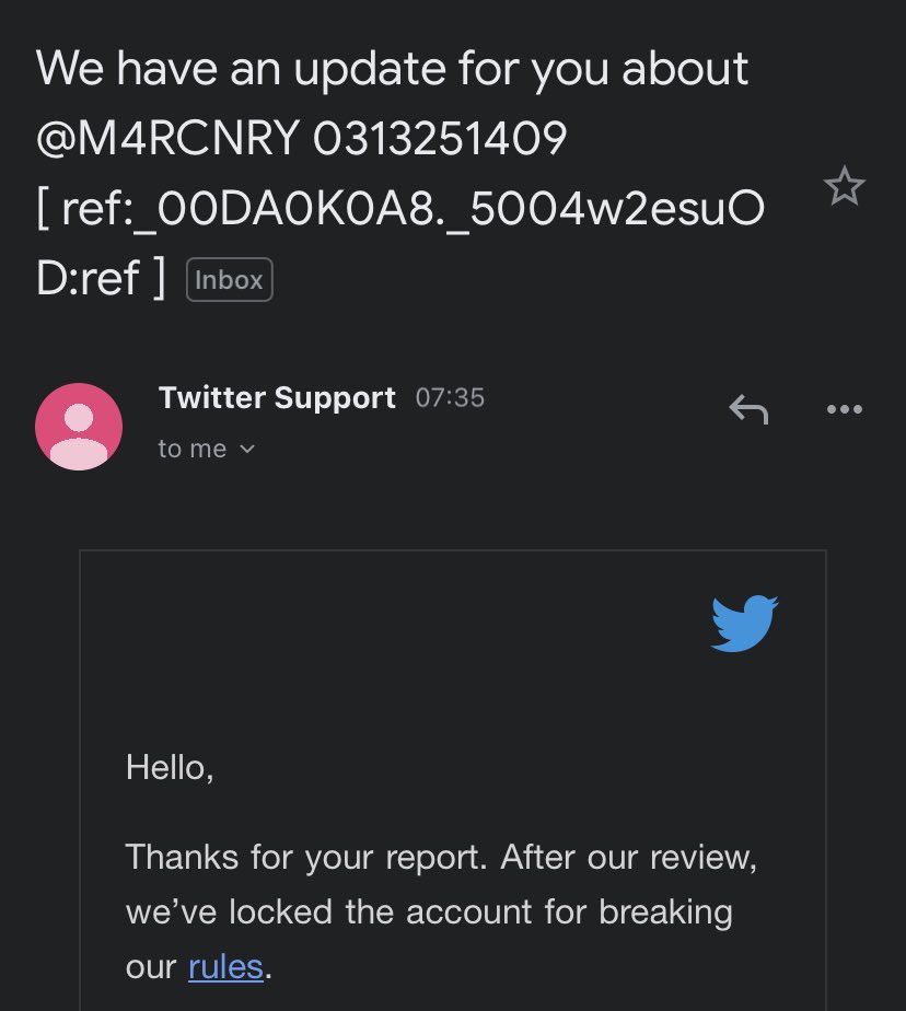 felix hanson tweet media