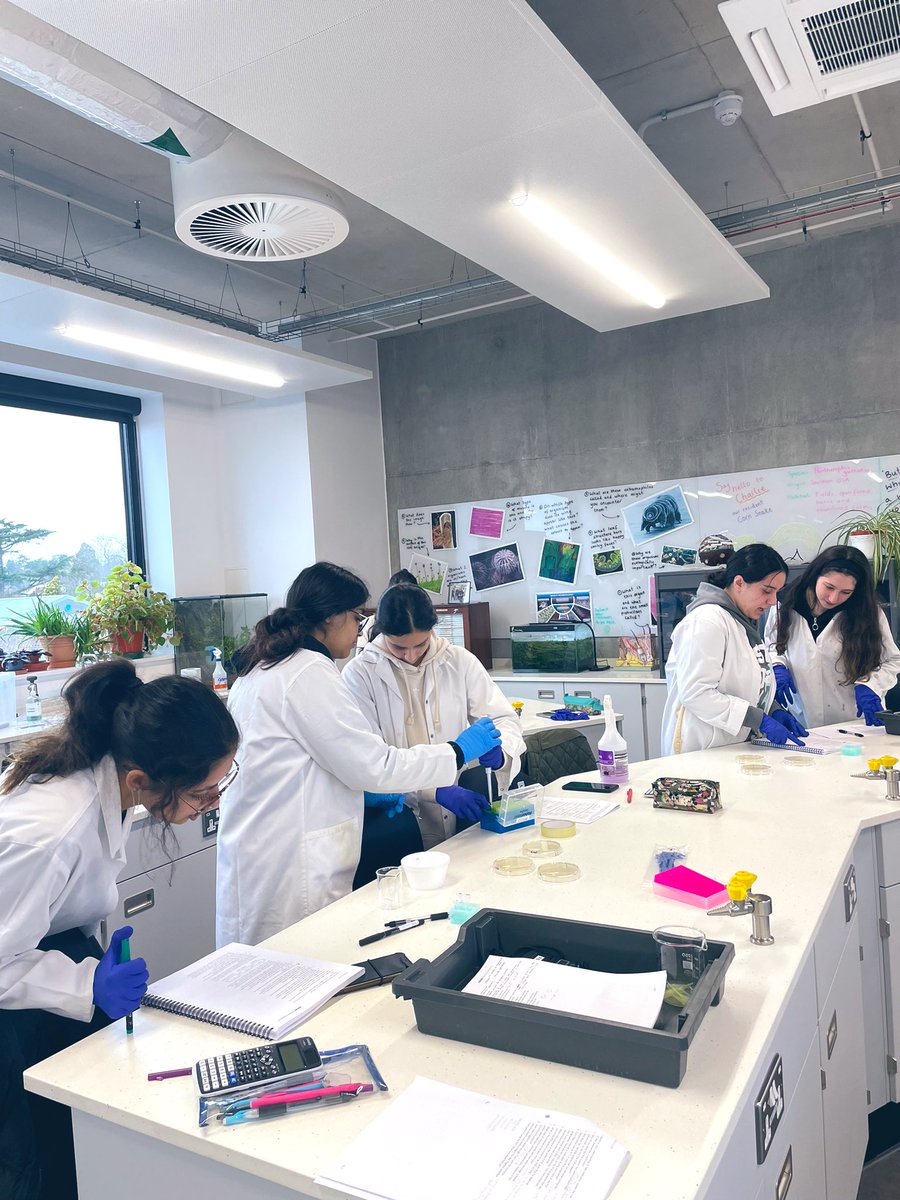 NWC STEM tweet media