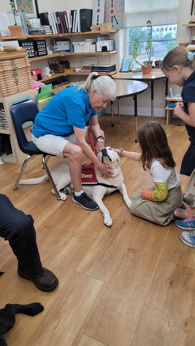 Our students had a blast during our in-house field trip with Luna and Tony, two guide dogs from the @SEGuideDogs. They learned about how these pups help their handlers and got to practice guiding them through obstacle courses. 🐾🐕‍🦺 #MaitlandMontessori #GuideDogs #InHouseFieldTrip