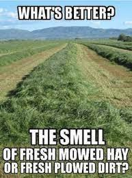 TC_Implement's tweet image. #spring #plant23 #planting #farmers #farming 
@TC_Implement