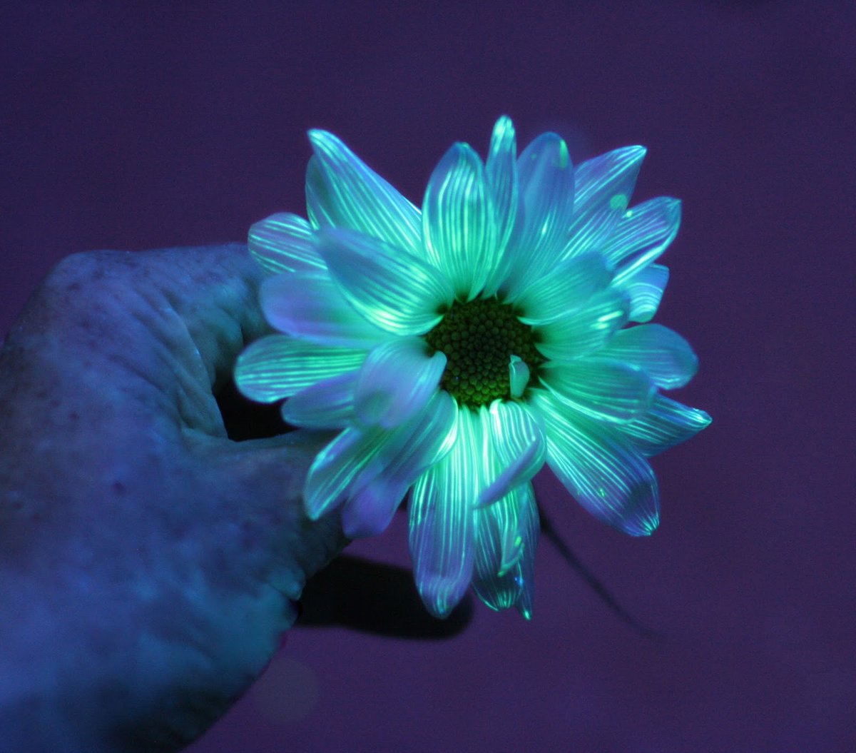 Baldwin_Corp's tweet photo. Ultraviolet goes green. Learn more about the environmental benefits of going LED UV🍃:
https://t.co/jfmz3vqTaH
#leduv #sustainableprinting https://t.co/46Eo4Svax3