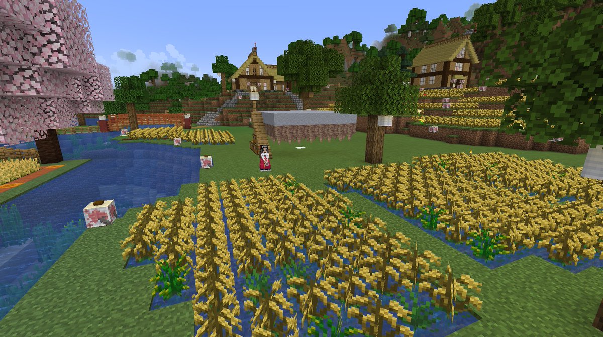 ComanHoliday's tweet photo. #Minecraft #マイクラ #LittleMaidReBirth #FarmersDelightMod　
田んぼも地道に増えています(*•̀ᴗ•́*)و ̑̑
元々、この村（弥生村）は「古い時代の畑だらけの農村」
をイメージして作ろうと思っていたので、水田以外にも
何か植えようと思っています(*´∀｀) https://t.co/1almBo00W8