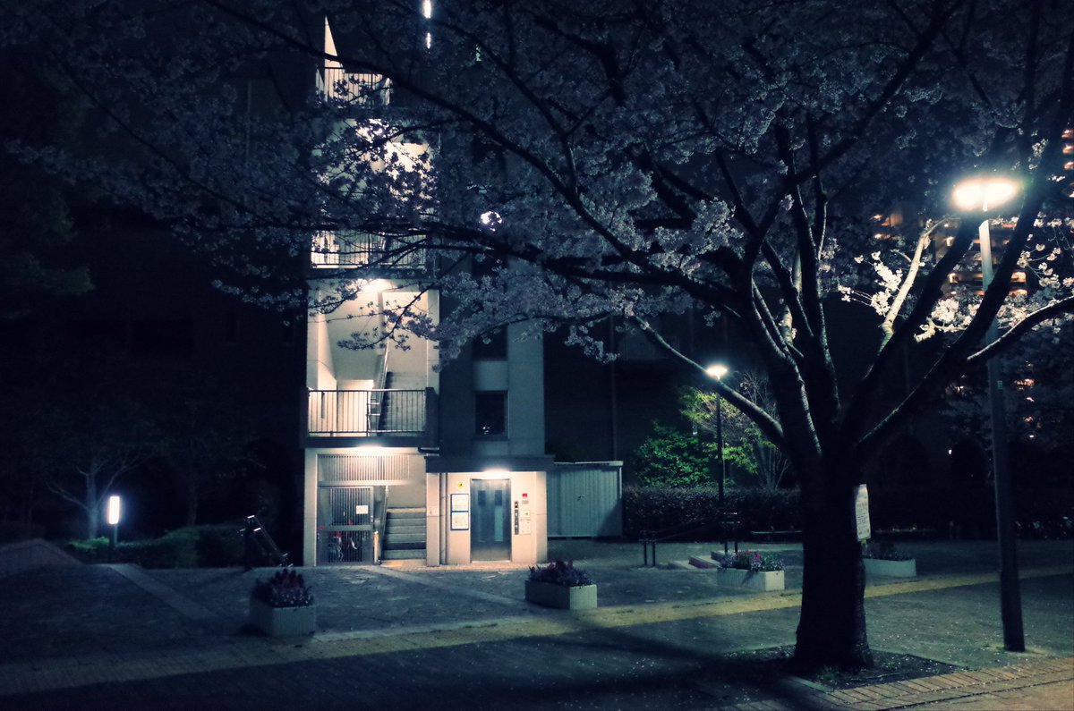 『桜は日常と共に佇む』

#桜
#ファインダー越しの私の世界
#カメラ好きな人と繋がりたい
#写真好きな人と繋がりたい
#ファインダー越しの世界
#日常の風景
#photography
#streetphotography
#streetphotographer
#urbanshot
#nightphotography