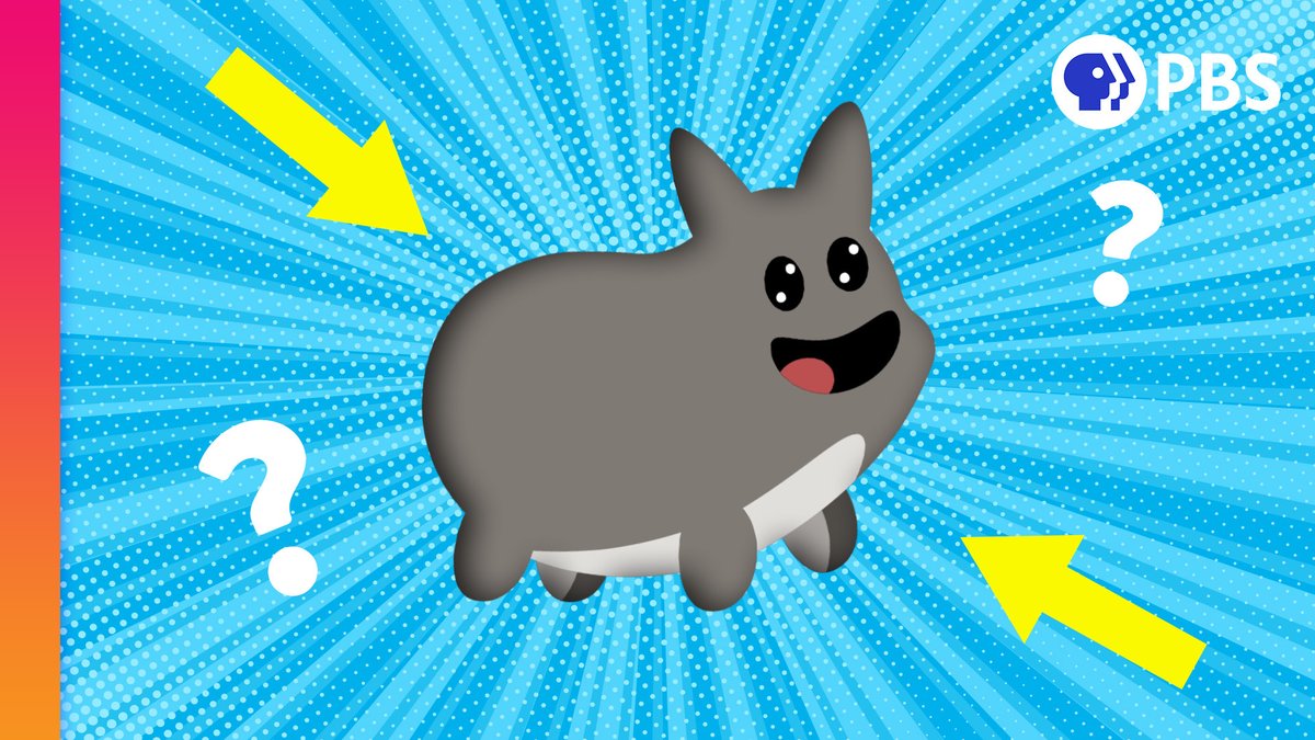 okaytobesmart's tweet photo. NEW VIDEO! Why does every animal look like this?

I know the answer. And so will you, after you watch this: https://t.co/YQUETtPTO0 https://t.co/dS8aneZ3Tx