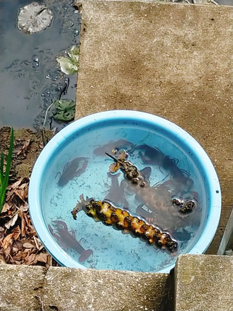 【海月】 取り敢えず、明日から9月8日〜9月19日北海道一周行くのに、積載