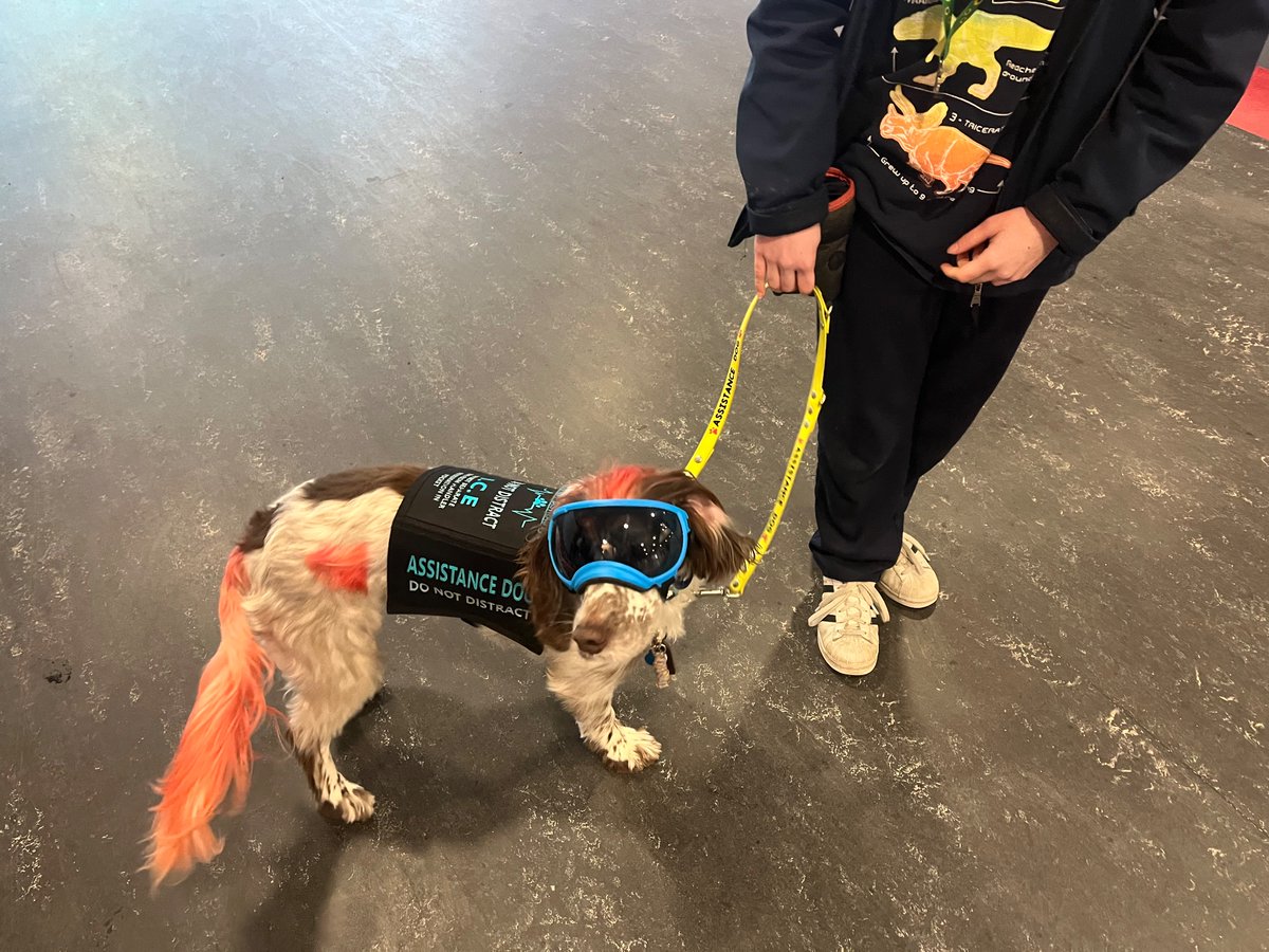 Dalkeithschslib's tweet photo. It was great to eventually meet Copper as I’ve heard so much about him #dogsinlibraries https://t.co/6F7dZPV096
