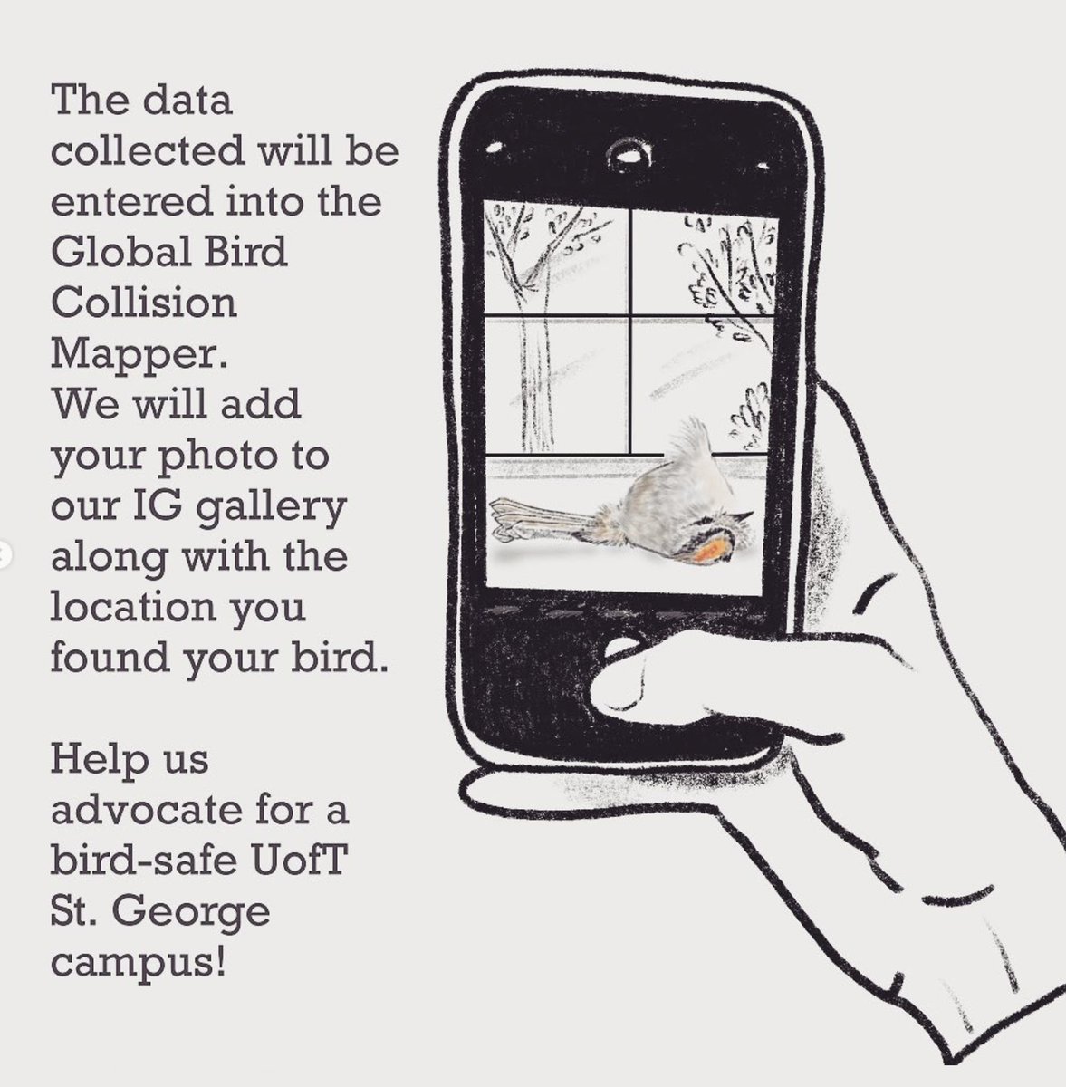 birdsafeuoft tweet media