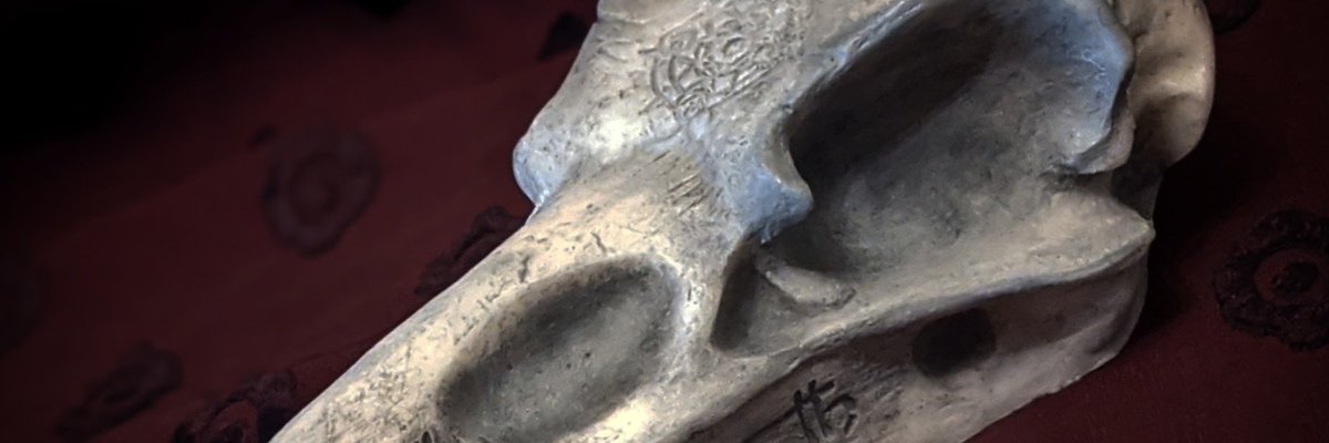 SempleWitcher's tweet photo. Making heads roll! Happy Tuesday
#raven #skull #handmade #SmallBusiness #bones https://t.co/dJcsfCeZXm