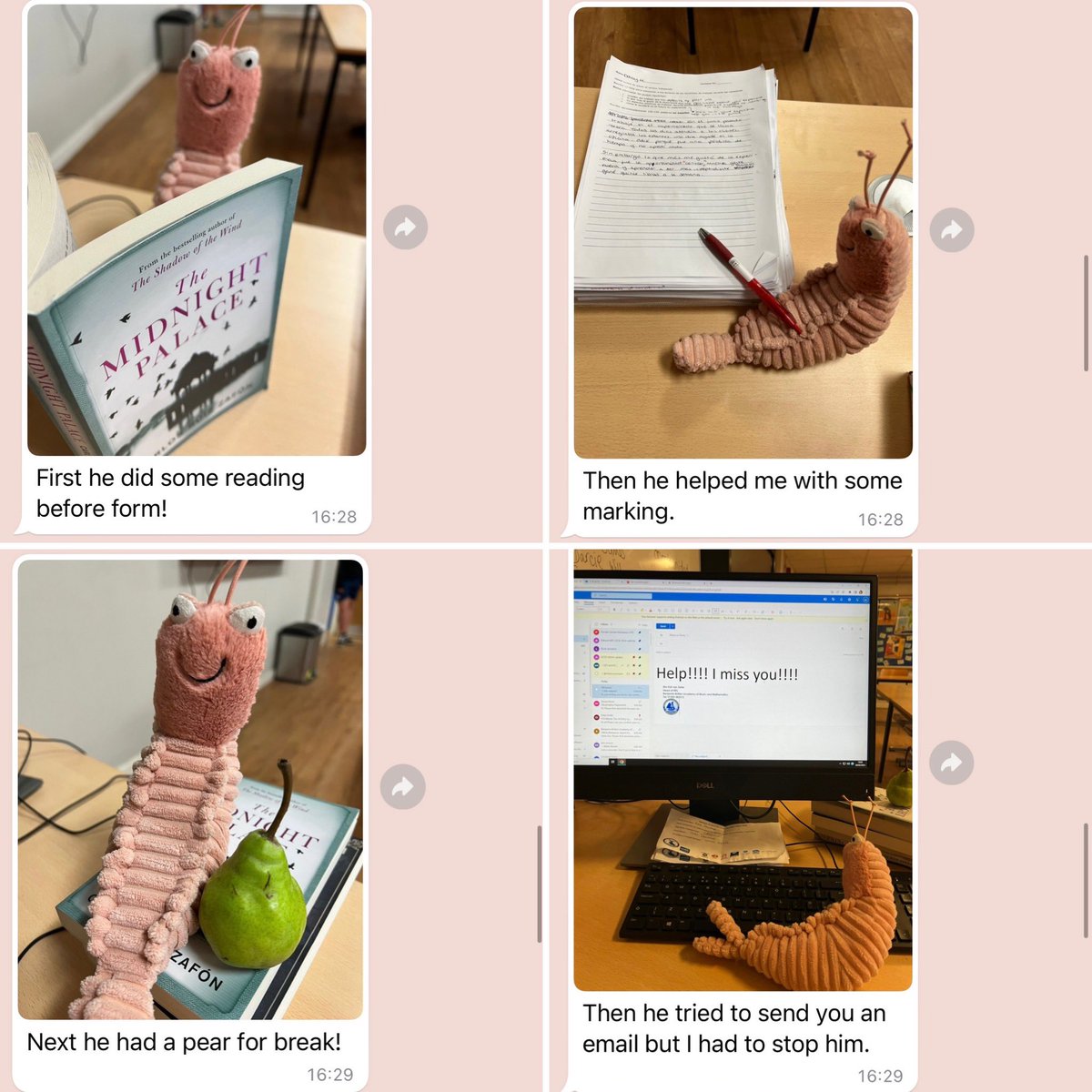 MissDaveyMFL's tweet photo. I didn’t go into school today as I have been ill. I got a message from my HoD at the end of the day saying “Please don’t worry about Señor Gambas he has had a lovely day!” followed by this… 

(For context, he has been stolen twice in my absence) 

😂 made my day. https://t.co/457WegnFD6