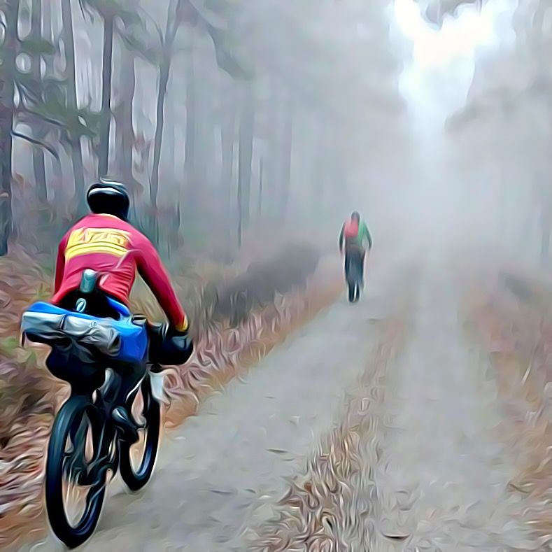 ArkansasOutside's tweet image. You don't have to ride all the way into town to satisfy your bike, part, or accessory needs. Our friends at the Community Bicyclist in Little Rock have an online store. #WeLoveOurPartners #AROutside arkansasoutside.com/linkout/30570