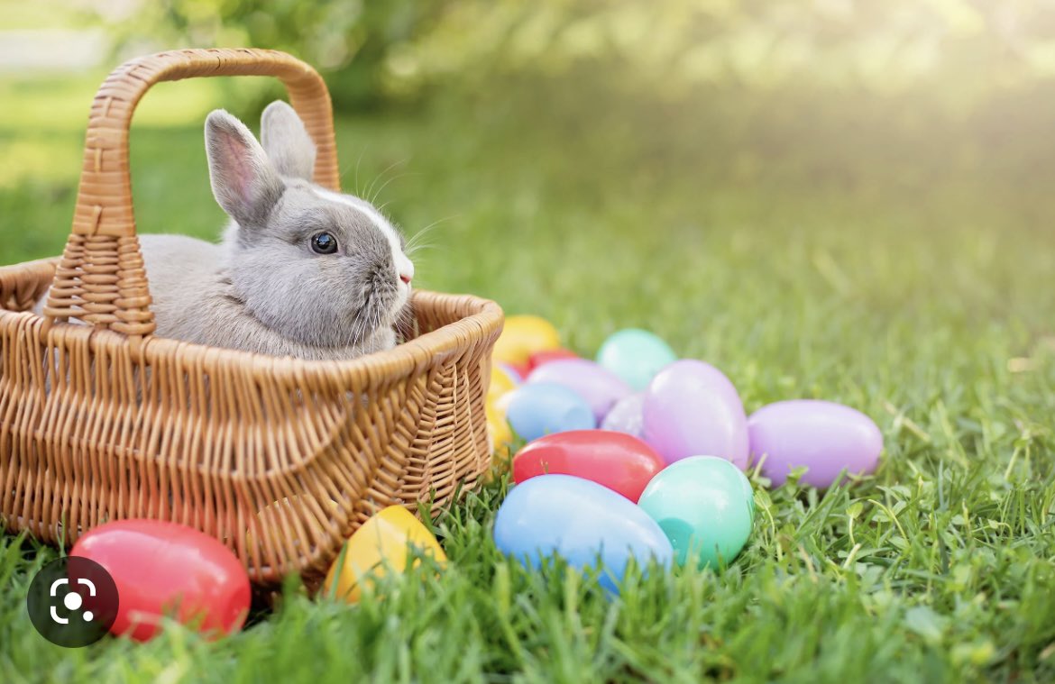 Over the Easter break, don’t forget to keep up with your Bedrock homework! However, during this break, it’s homework with a twist! 
One student in Year 7 and 8 who accumulates the most points over the holiday will win an Easter egg! 🐣 🐰