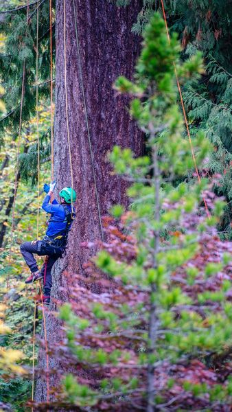 Samson_Rope's tweet photo. Nothing compares to the beautiful colors of nature. Except maybe the beautiful colors of our rope. #HyperClimb https://t.co/UFiDSSdWPa
