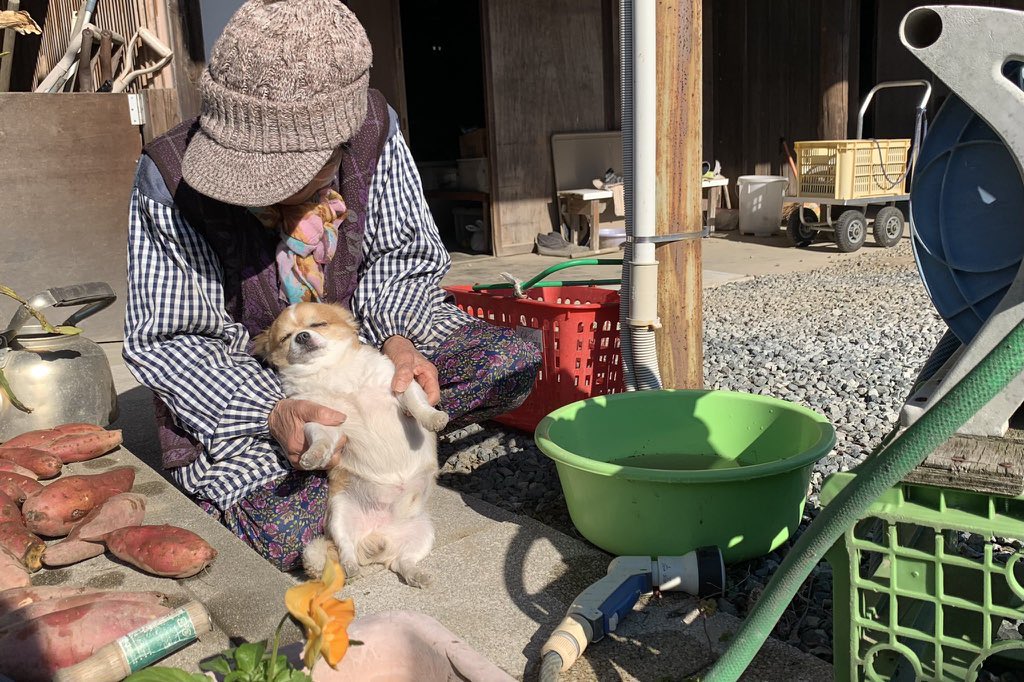bildene_mine's tweet photo. 할머니 사랑 듬뿍 받고 자란 나른와와 https://t.co/PoswraqoBF