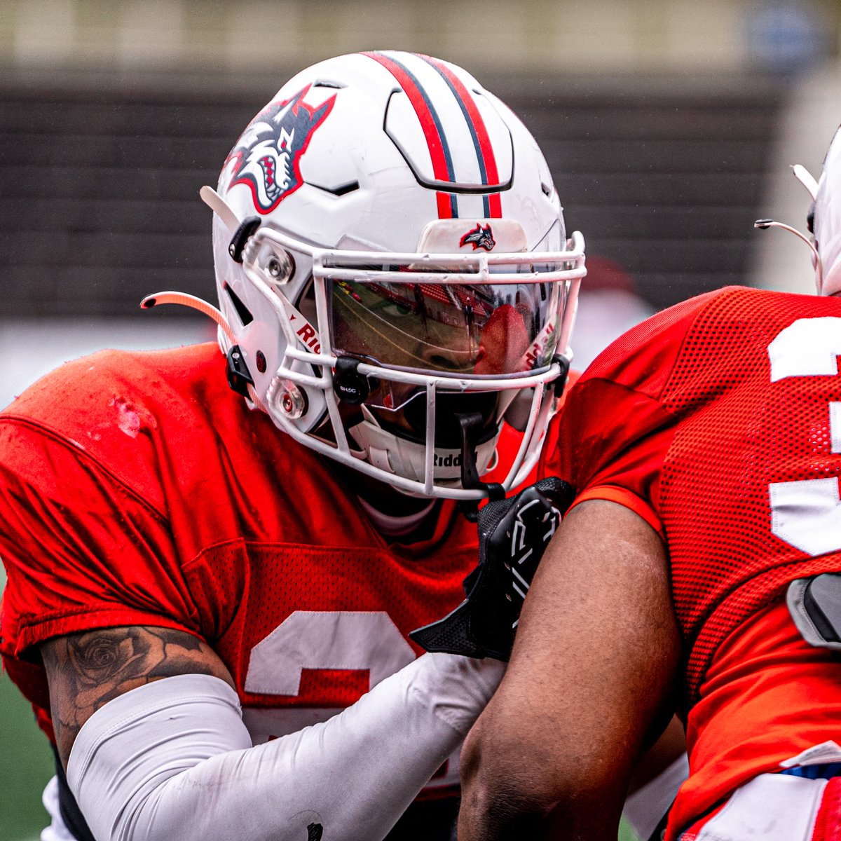 Stony Brook Football tweet media