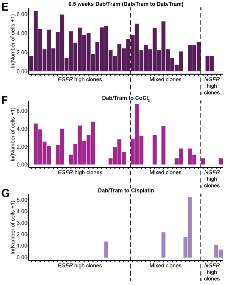Dylan Schaff tweet media
