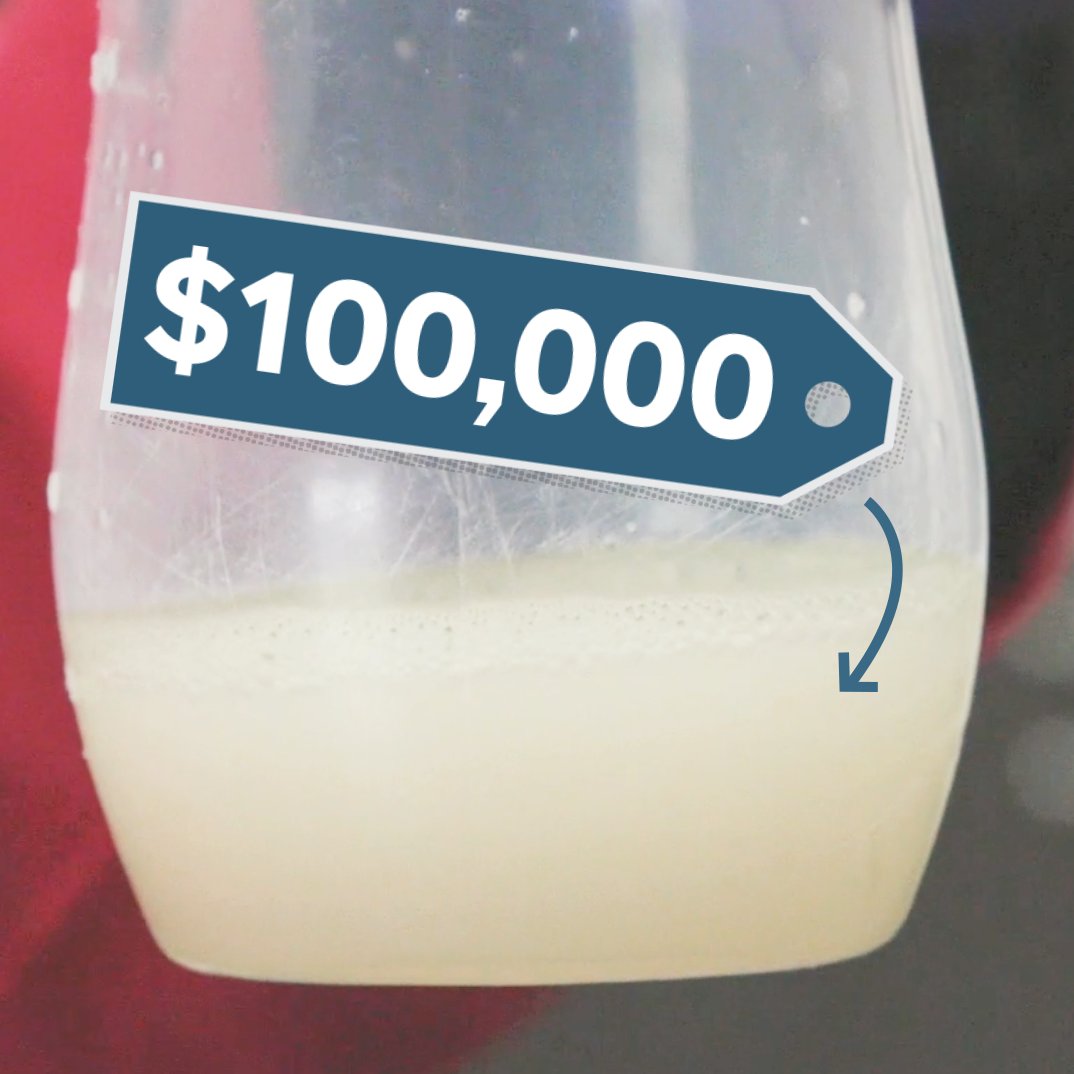 How Much is Horse Sperm Worth