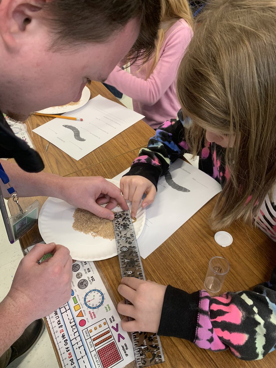 When the math and science scope and sequence align perfectly! Thank you to our math fellow Mr. Mulvey for helping to estimate and measure our mealworms! @jenpooreri @GinaPicard @Michael_Comella