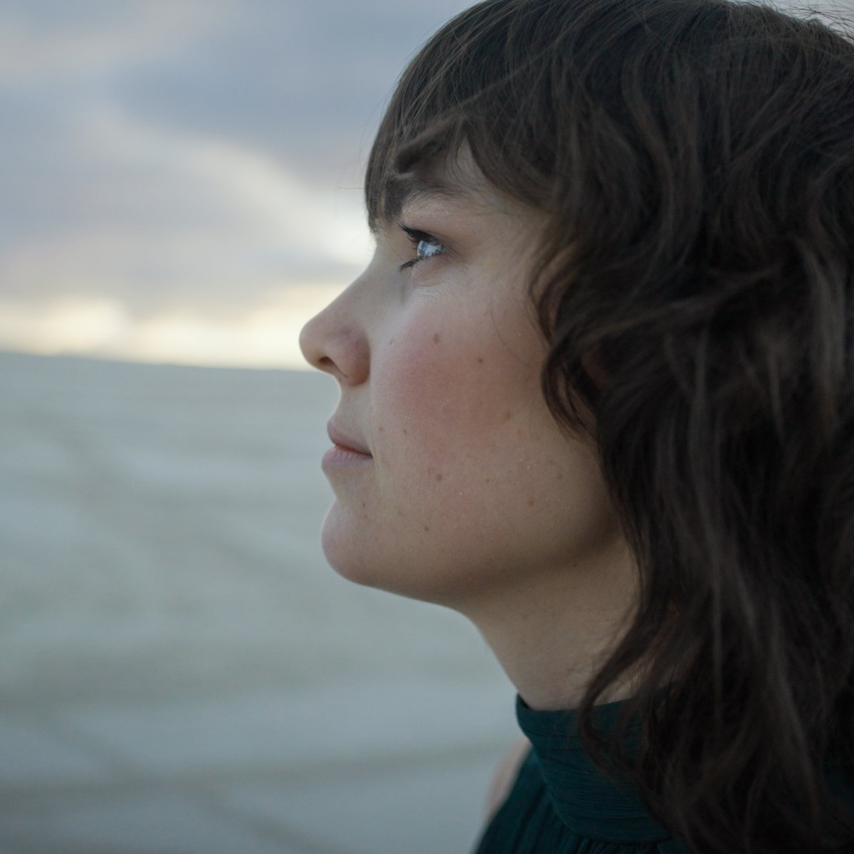 A new track-by-track breakdown from Sophia Hansen-Knarhoi on her lovely EP, "Wildflowers," that was a late-year surprise back in December. foxydigitalis.zone/2023/03/28/tra…
